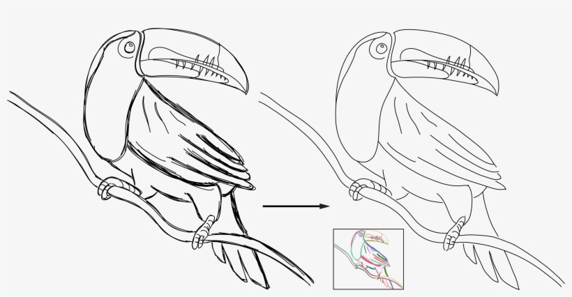 Consolidating Raw Sketches Into Artist-intended Curve - Drawing, transparent png download