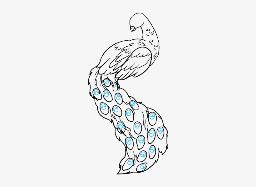 How To Draw Peacock - Easy Drawing Of Peacock, transparent png download