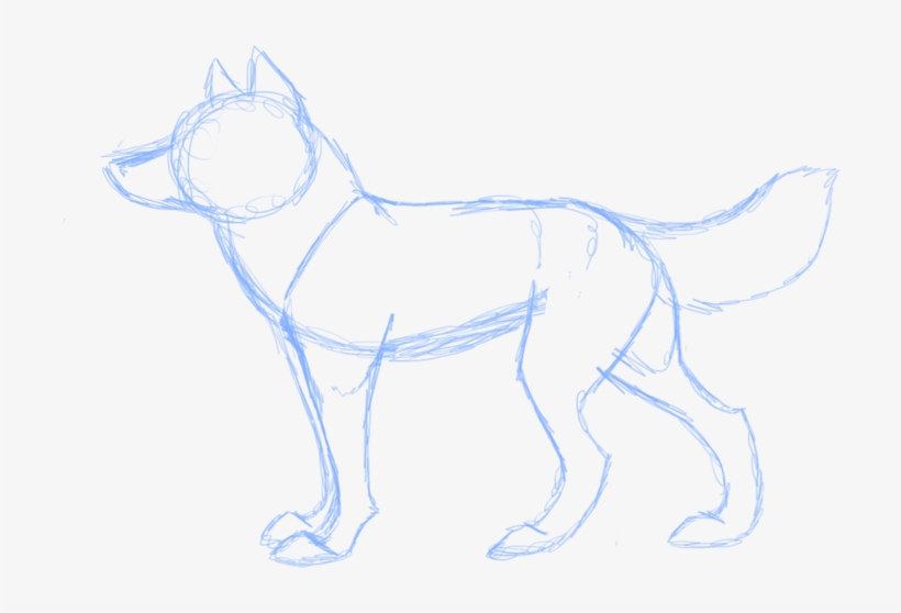 My Wolf Anatomy 3 By Twiztedrhapsody-d3dv96g Anatomy - Ancient Dog Breeds, transparent png download