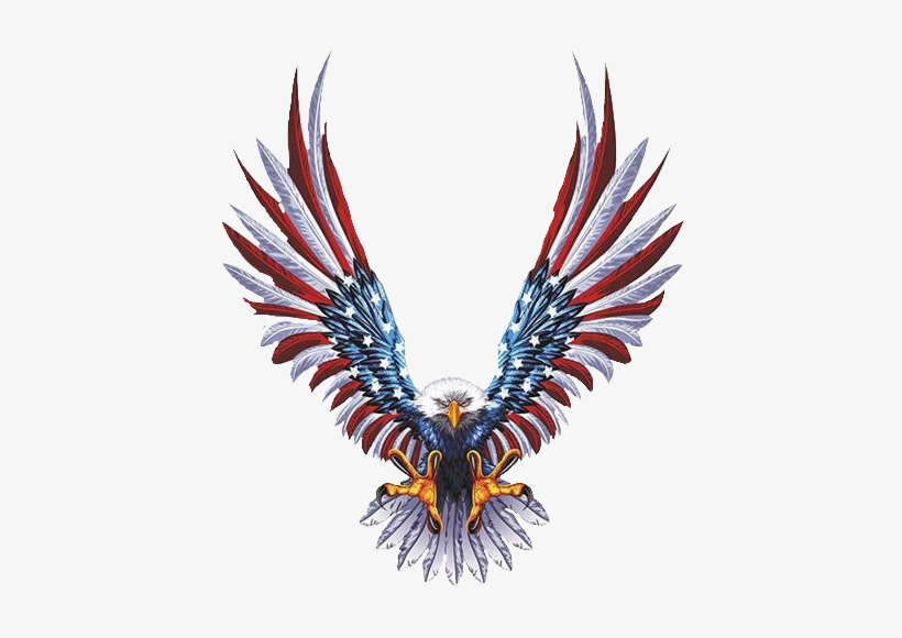 Need A Real True To Life Long Friend - American Eagle And Flag Together, transparent png download