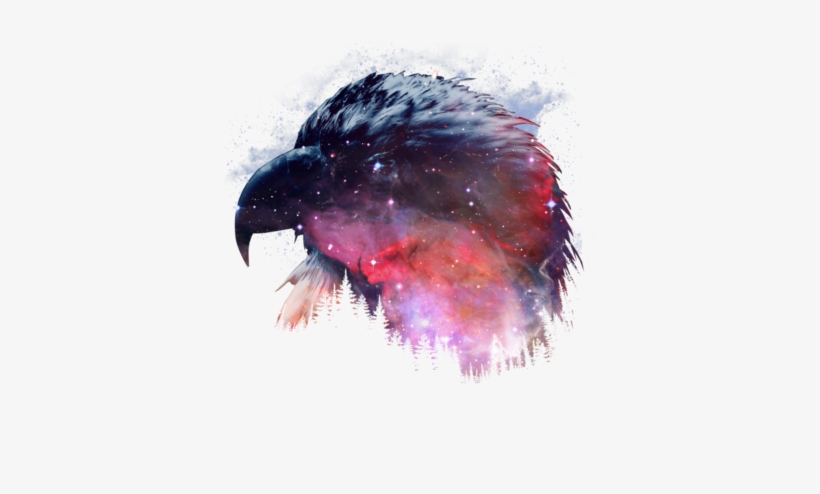 Eagle Nebula Cool Bird Animal Hicustom - Galaxy, transparent png download