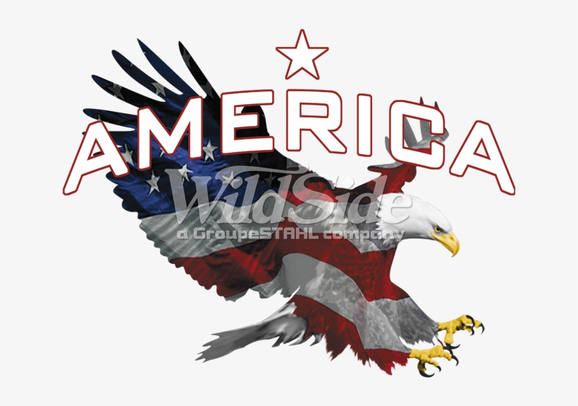 America - Bald Eagle, transparent png download