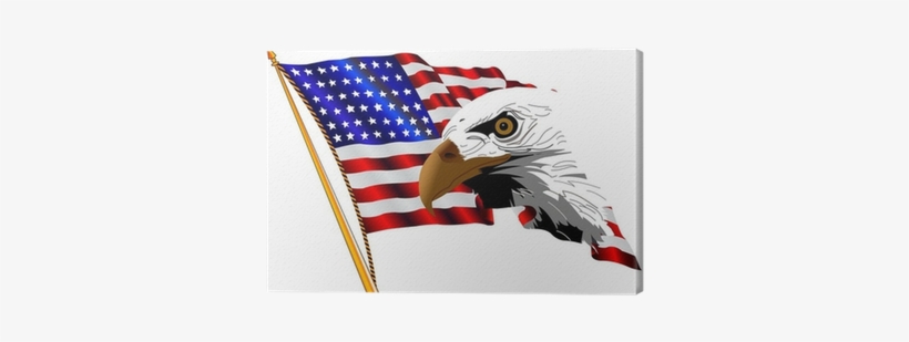 American Flag And Eagle Clipart, transparent png download