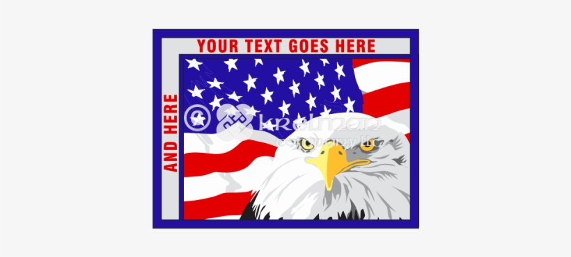 K1410 American Eagle Is Not Amused - Bear, transparent png download