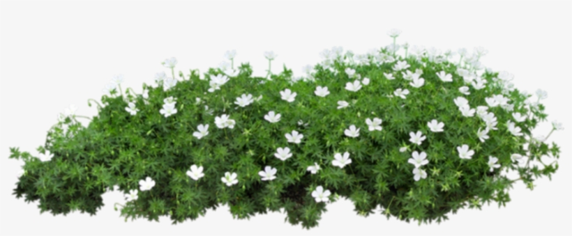 Nashville Zoo At Grassmere, transparent png download