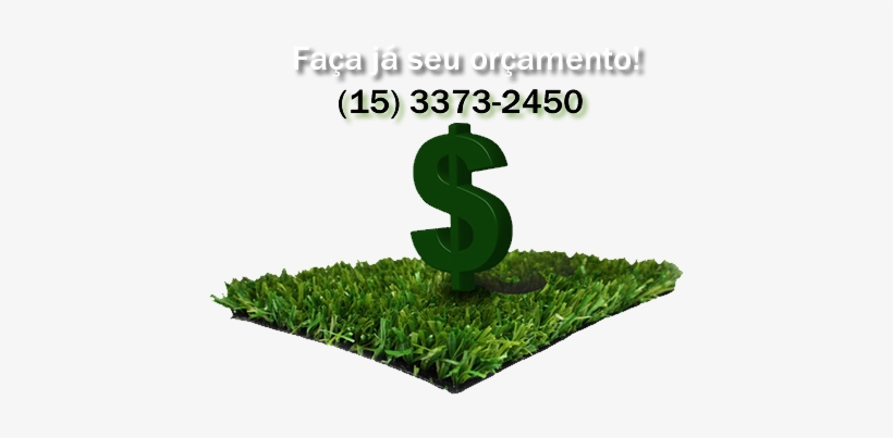 Gramas Com Ótimo Preço M2 Direto Do Produtor Para Todo - Brazil, transparent png download