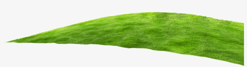 Comunidade Fase1 Grama2 - Lawn, transparent png download