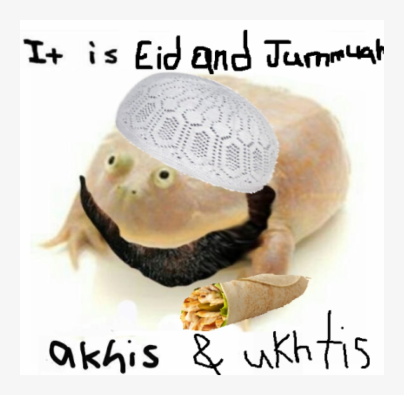 Eid Mubarak Akhis - Wednesday Frog, transparent png download