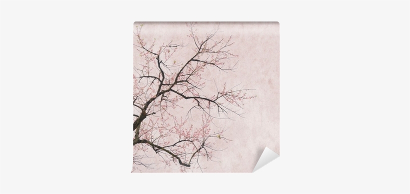 Plum Blossom On Old Antique Vintage Paper Background - Rosa Blommor, transparent png download