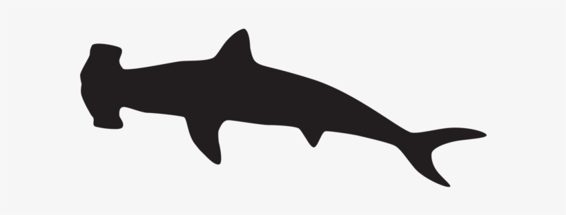 Visit - Hammerhead Shark Silhouette, transparent png download
