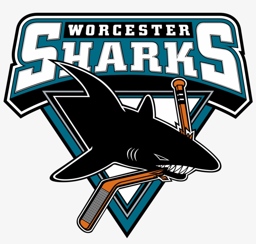 Worcester Sharks - Worcester Sharks Logo, transparent png download