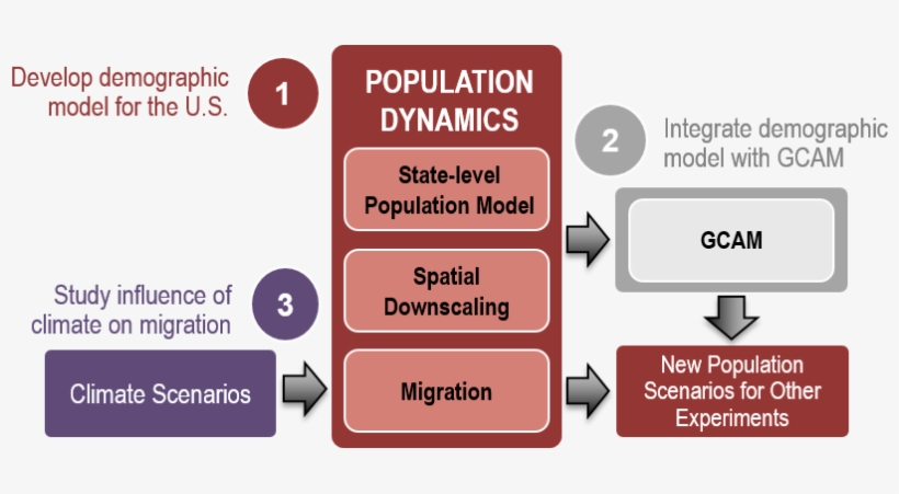 Major Activities And Deliverables In The Population - Population, transparent png download