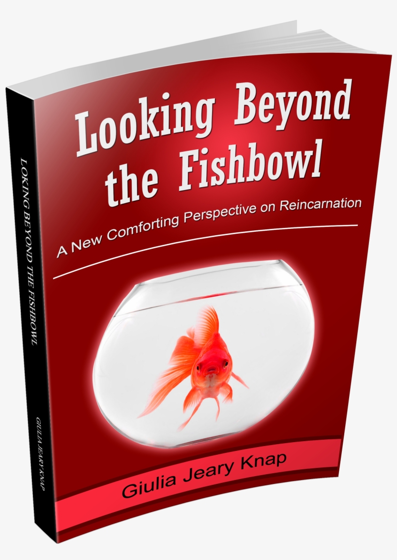 An Extract From Looking Beyond The Fishbowl - Giulia Jeary Knap, transparent png download