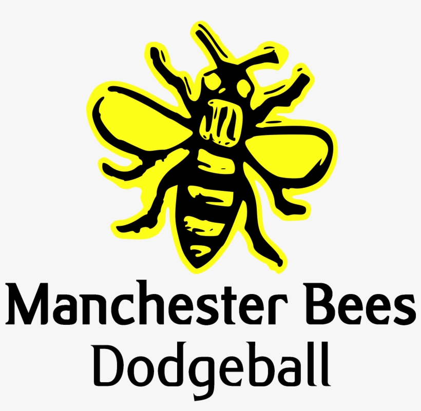 Manchester Bees Dodgeball Club - Manchester Bees Dodgeball, transparent png download