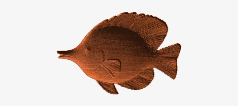 Tropical Fish - Ab - - Sailfish, transparent png download