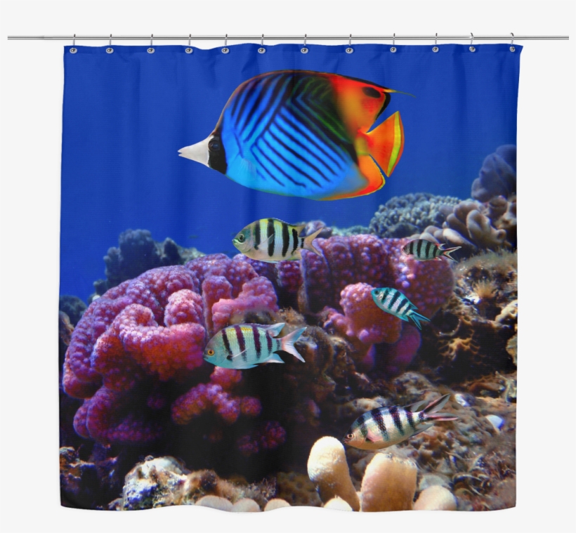 Sea Life 03 Tropical Fish Shower Curtain - Marine Life In Andaman And Nicobar Islands, transparent png download