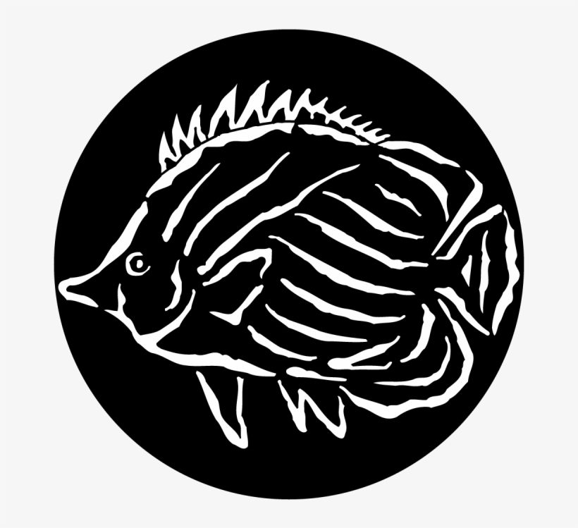 Sea Tropical Fish - Fish Gobo, transparent png download