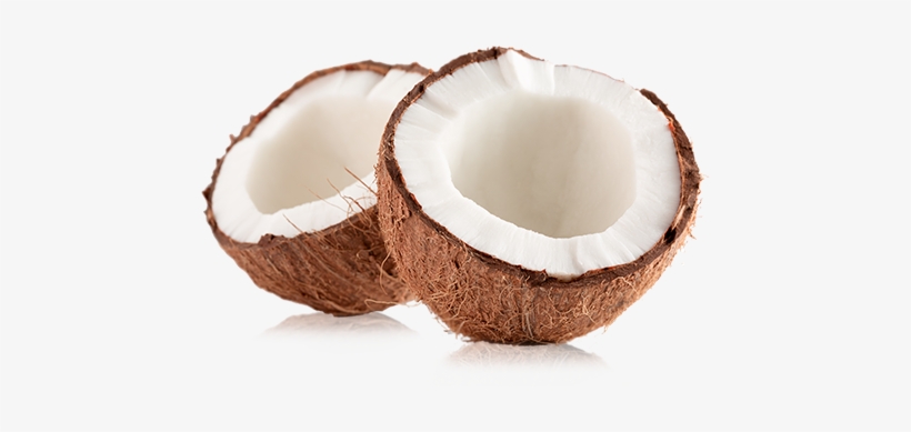 Coco - Coco Pina, transparent png download