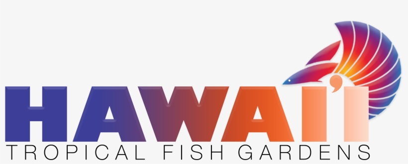 Hawaii Fish Logo, transparent png download