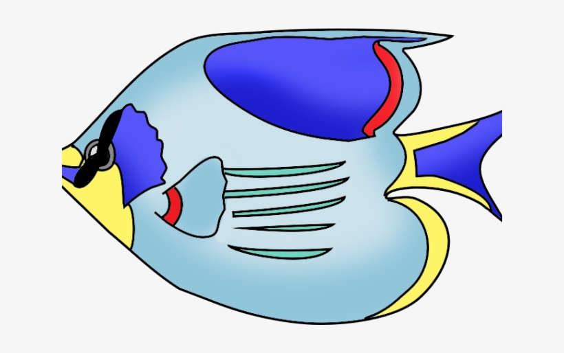 Tropical Fish Clipart Fush - Colored Fish Drawing, transparent png download