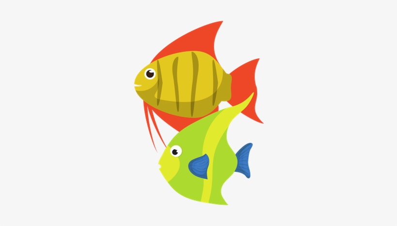 Tropical Fishes - 0shares - Design, transparent png download