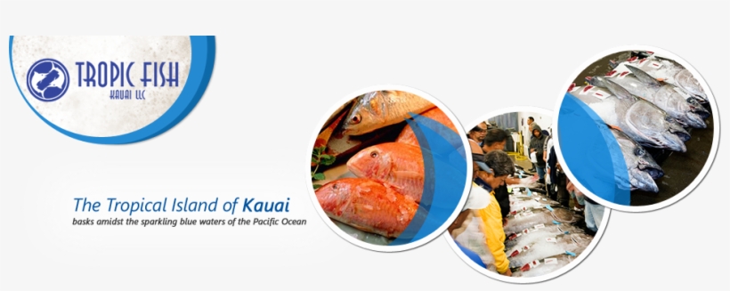 Banner For Fisheries Company, transparent png download