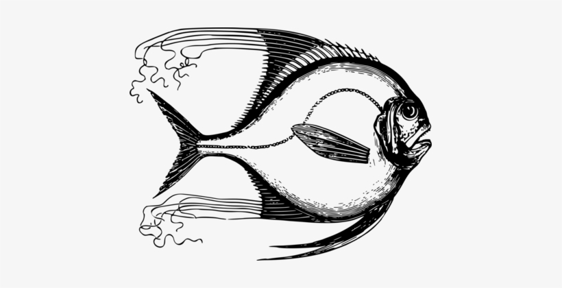 T-shirt Tropical Fish Drawing Moorish Idol - Fish 5'x7'area Rug, transparent png download