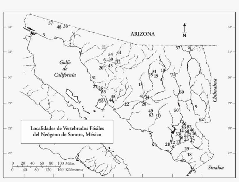 Localidades De Vertebrados Fósiles Del Neógeno De Sonora, - Map, transparent png download