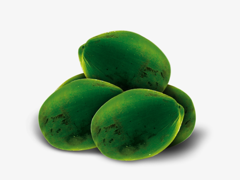 Dr Antonio Martins Coconut Water Kokoswasser Kokosnüsse - Coconut Water, transparent png download