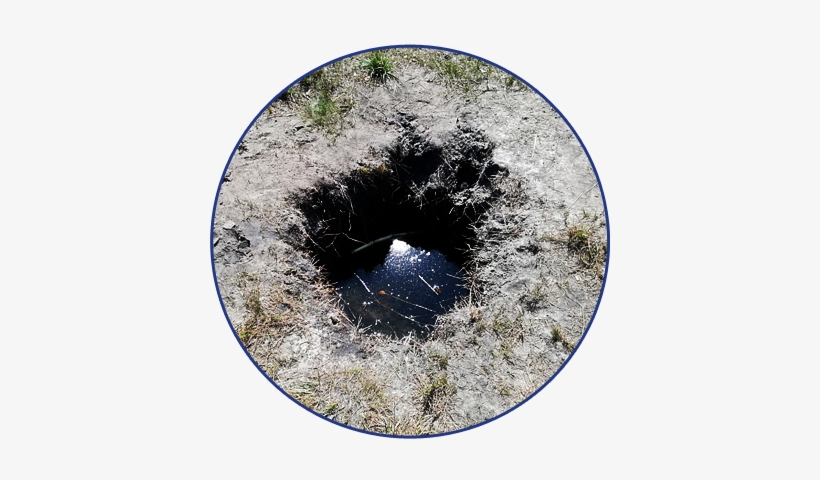 Prevent Disease - Circle, transparent png download