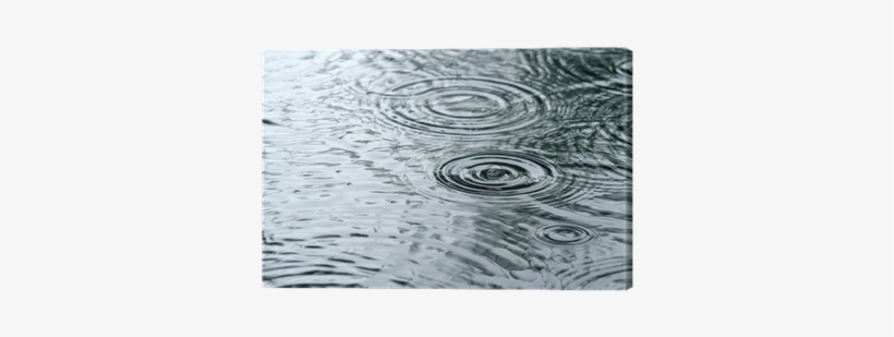 Raindrops Rippling In A Puddle Canvas Print • Pixers® - Puddle, transparent png download