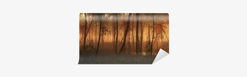Puddle Of Water In Misty Tropical Forest - Water, transparent png download