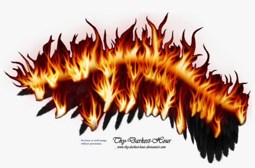Wings On Fire - Крылья Из Огня Png, transparent png download