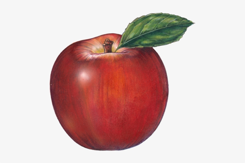 Fruits, transparent png download