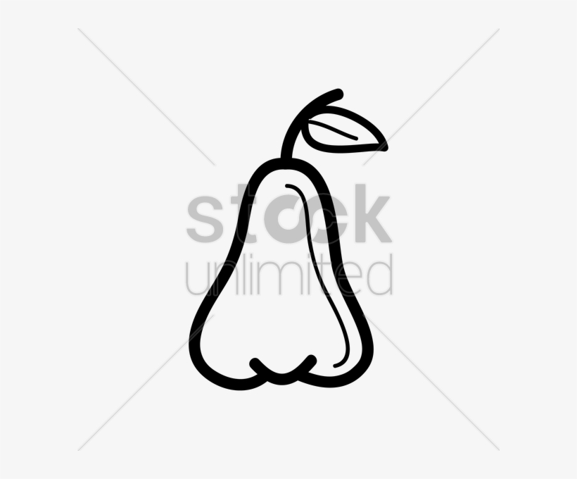 28 Collection Of Rose Apple Clipart Black And White - Draw A Rose Apple, transparent png download
