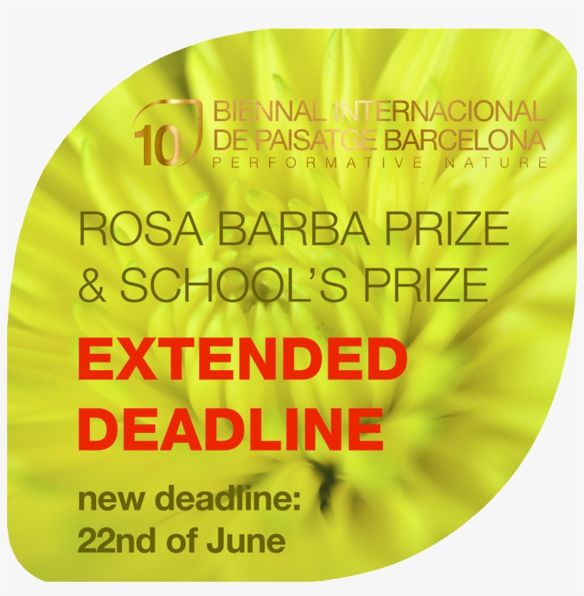 Extended 2 Leaf - Leaf, transparent png download