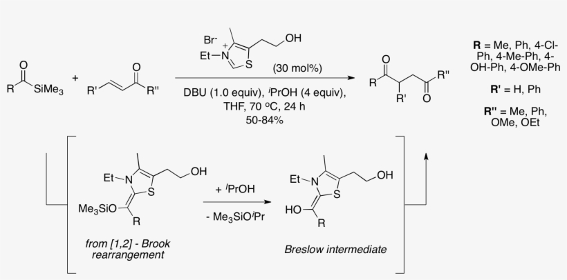 Silastetter Reaction - Stetter Reaction, transparent png download