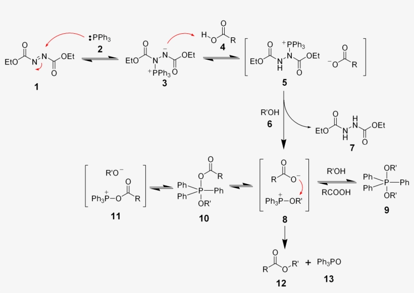 Mitsunobu Reaction Mechanism - Art, transparent png download