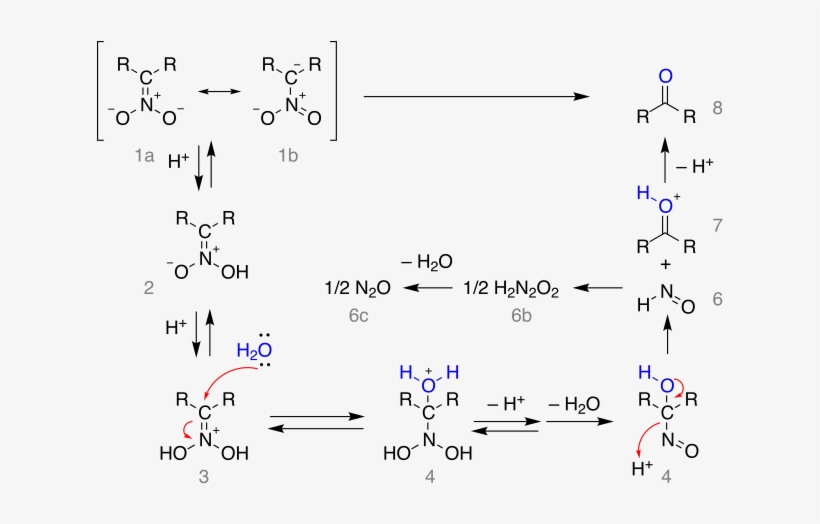 Nef Reaction Mechanism - Nitronate Salt, transparent png download