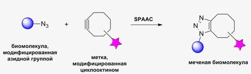 Spaac Reaction - Portable Network Graphics, transparent png download