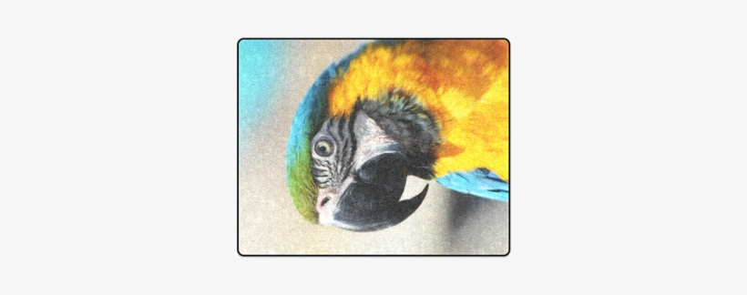 Parrot 2015 0205 Blanket - Parrot 2015 0205 Canvas Print - Small By Jamfoto, transparent png download