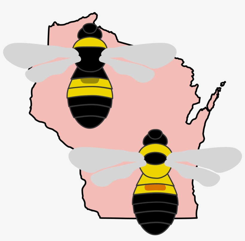 Familiar, Fuzzy Friends - Bumble Bee Identification Wisconsin, transparent png download