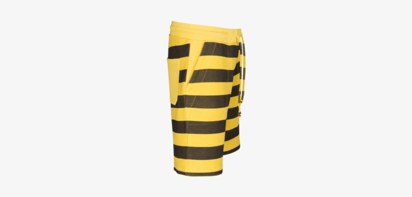 Bumblebee, transparent png download