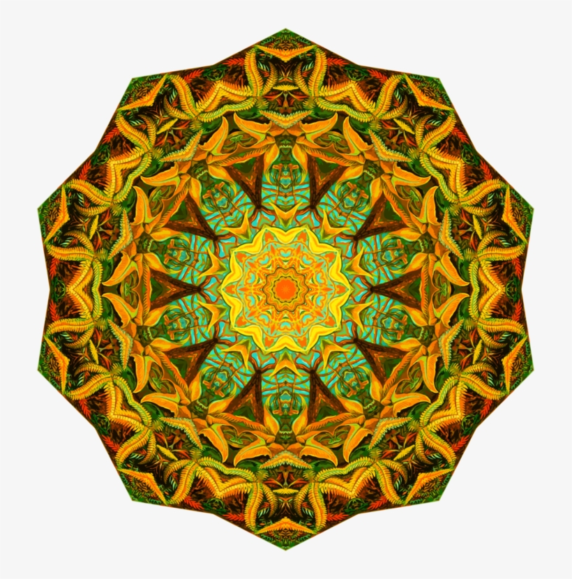 Drawing Zen Doodling Mandala Art Recife - Ferns By Ernst Haekel #2 - Art Print - 12x18 Poster, transparent png download