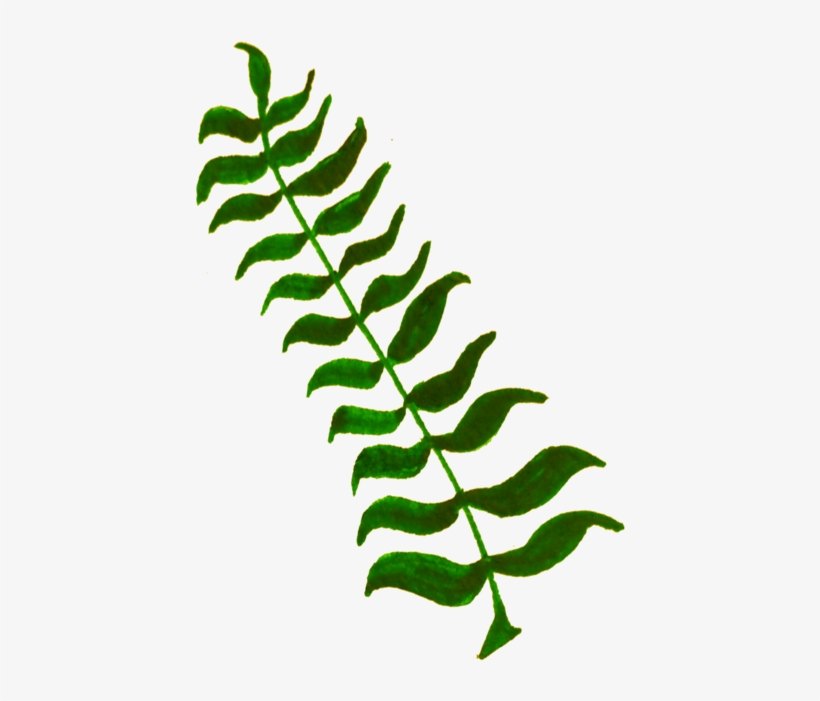 Calligraphy Computer Icons Plant Stem Leaf Twig - Green Plant Illustration Png, transparent png download
