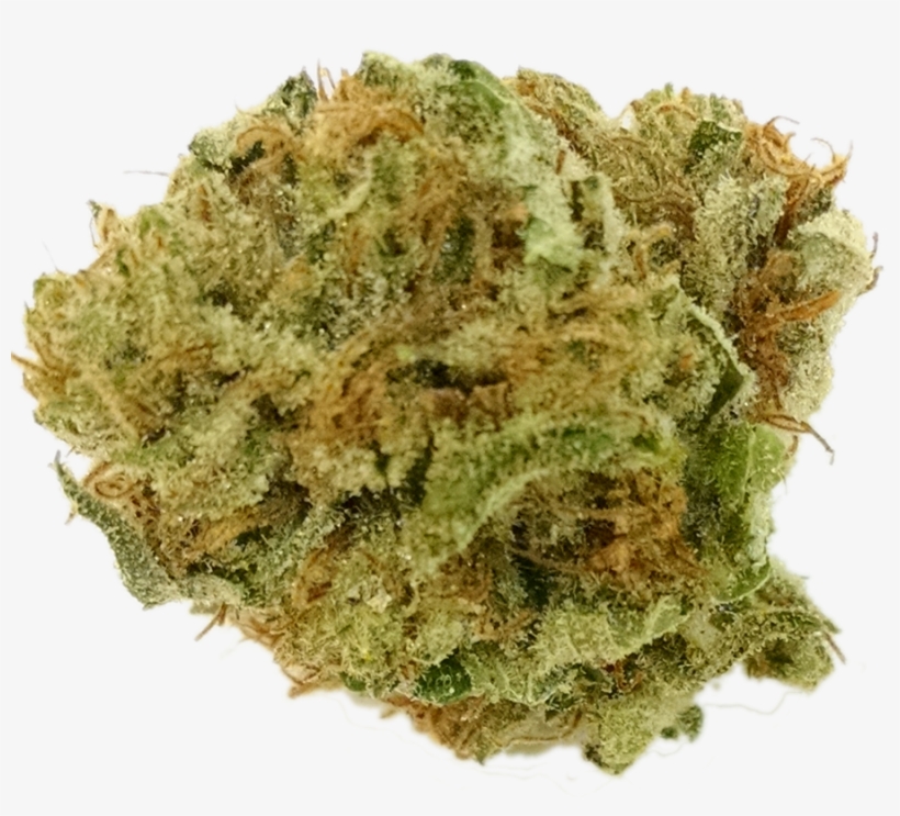 Amnesia Haze - Encino, transparent png download