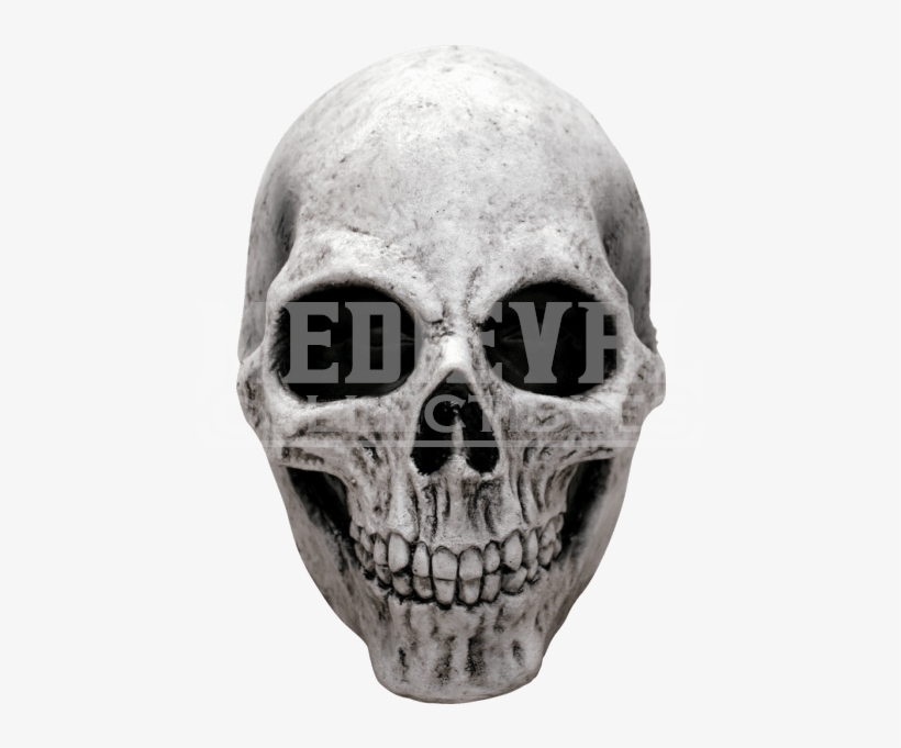 White Skull Mask - Adult Halloween Deluxe White Skull Mask, transparent png download