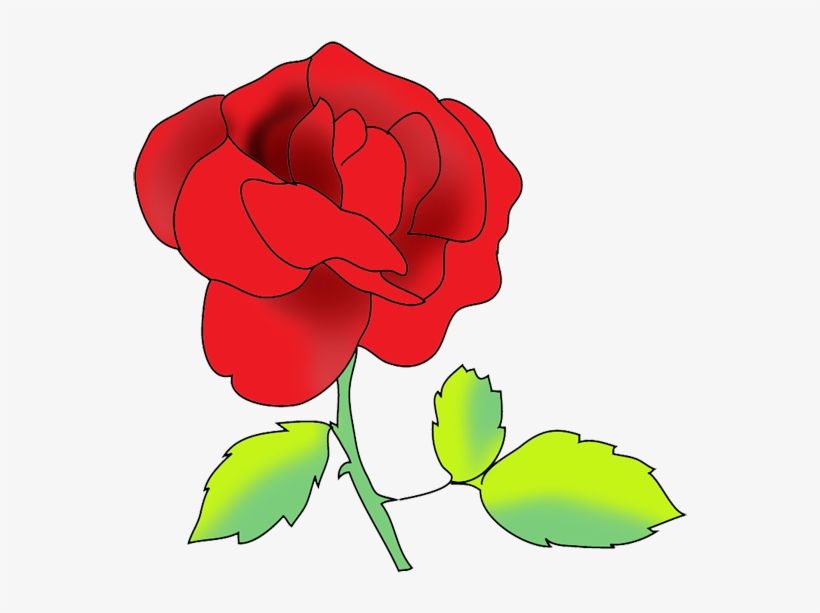 Flower Image Gallery Red Rose - Portable Network Graphics, transparent png download