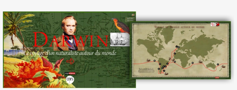 Le Voyage De Darwin - Framed Poster: World Map - Contemporary, 67x98cm., transparent png download