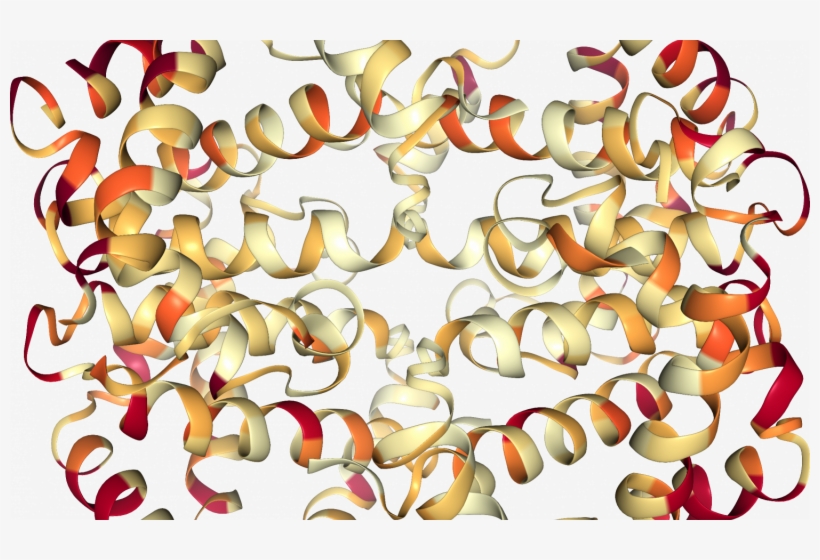 Understanding Evolution Is One Of The Cornerstones - Biology, transparent png download